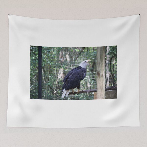 Item preview, Singing Bald Eagle designed and sold by Cynthia48.
