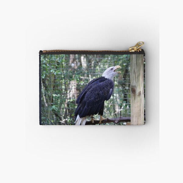 Item preview, Singing Bald Eagle designed and sold by Cynthia48.