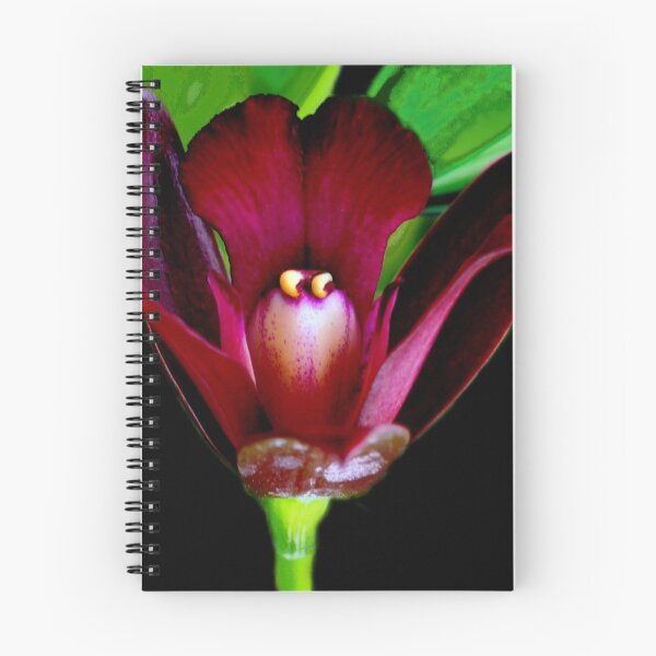 Item preview, Magic Carpet Ride - Orchid Alien Discovery designed and sold by Ashley Cooke.