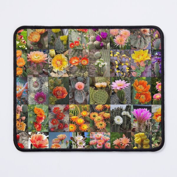 Item preview, Cactus Flowers designed and sold by Montage-Madness.