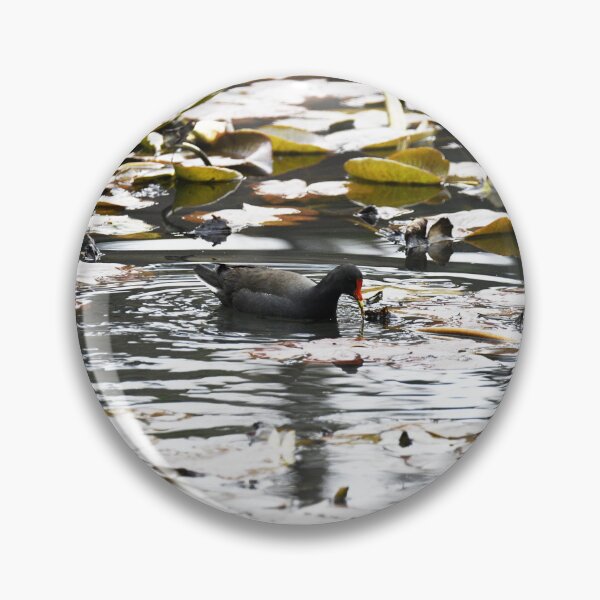 Item preview, Water Bird on the lake at Mt Lofty Botanical Gardens designed and sold by imaginethis.