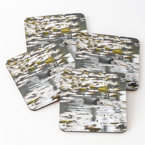 Item preview, Water Bird on the lake at Mt Lofty Botanical Gardens designed and sold by imaginethis.