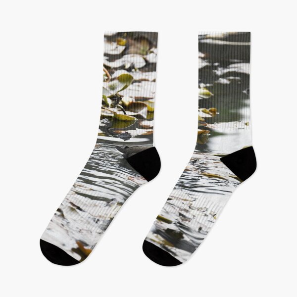 Item preview, Water Bird on the lake at Mt Lofty Botanical Gardens designed and sold by imaginethis.