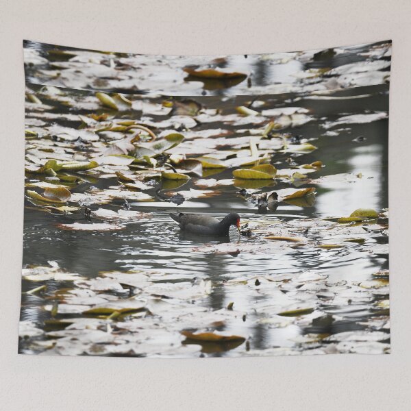 Item preview, Water Bird on the lake at Mt Lofty Botanical Gardens designed and sold by imaginethis.