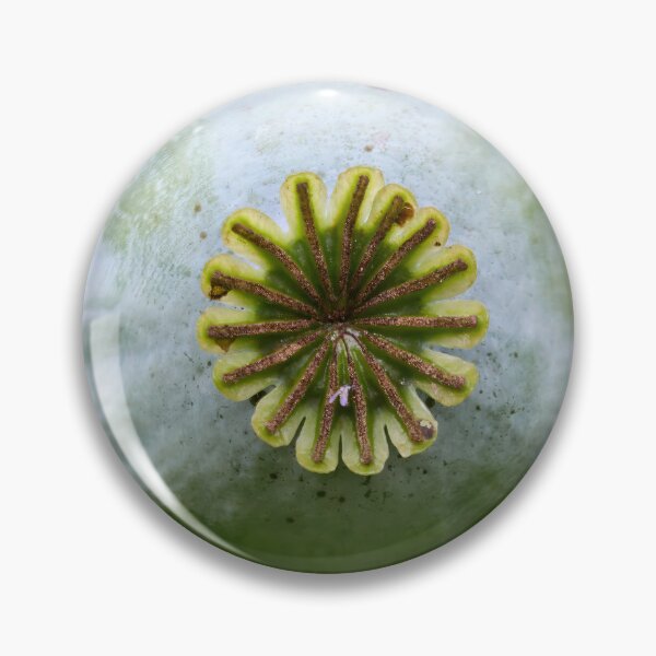 Item preview, Wheel of seeds. Poppy designed and sold by Jouko Lehto Photography.