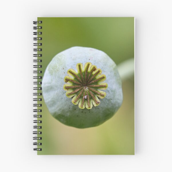 Item preview, Wheel of seeds. Poppy designed and sold by Jouko Lehto Photography.