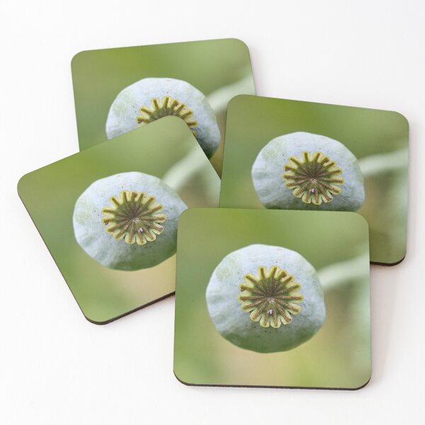 Item preview, Wheel of seeds. Poppy designed and sold by Jouko Lehto Photography.