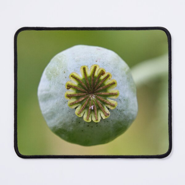 Item preview, Wheel of seeds. Poppy designed and sold by Jouko Lehto Photography.