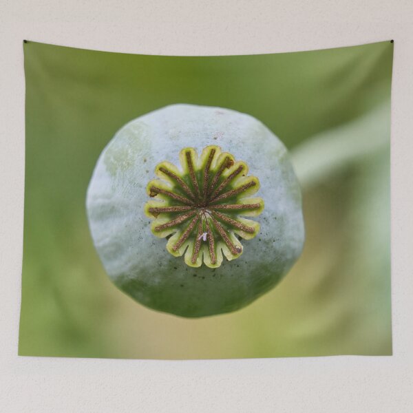 Item preview, Wheel of seeds. Poppy designed and sold by Jouko Lehto Photography.