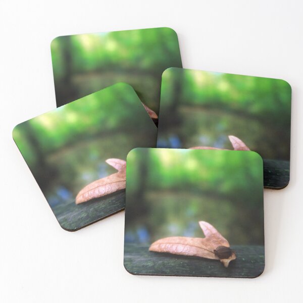 Item preview, A Brown Seed of a Hornbeam designed and sold by KaSaPo.