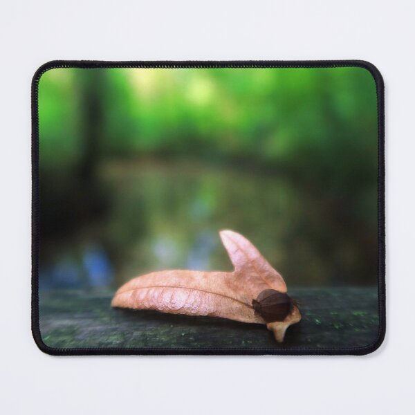 Item preview, A Brown Seed of a Hornbeam designed and sold by KaSaPo.