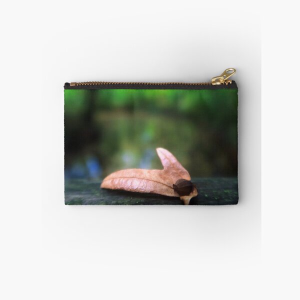 Item preview, A Brown Seed of a Hornbeam designed and sold by KaSaPo.