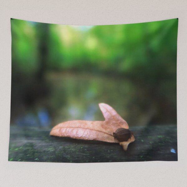 Item preview, A Brown Seed of a Hornbeam designed and sold by KaSaPo.
