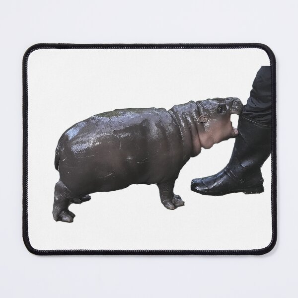 Item preview, moo deng hippo designed and sold by BashPIXIE.