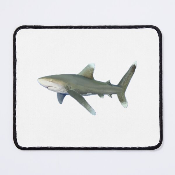 Item preview, Oceanic Whitetip Shark designed and sold by Aubree Parkinson.