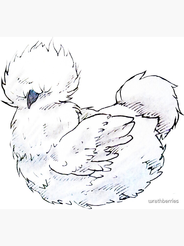 Silkie Chicken Coloring Page