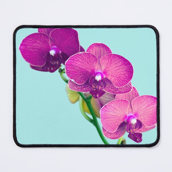 Item preview, Orchids designed and sold by Kenziewenze.