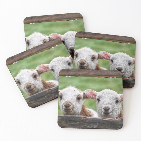 Item preview, Two little lambs  designed and sold by Mojoprintshop.