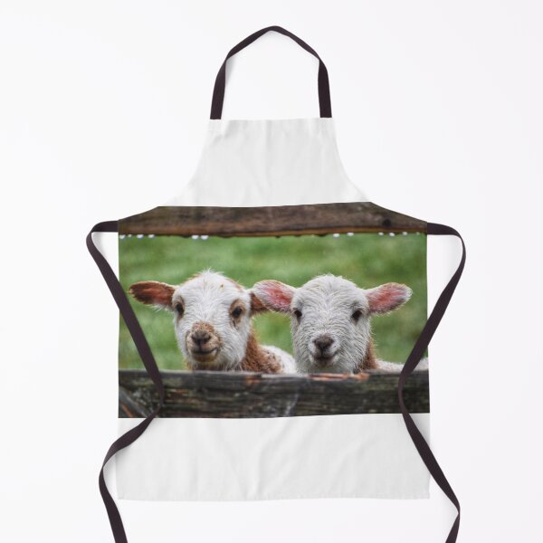 Item preview, Two little lambs designed and sold by Mojoprintshop.