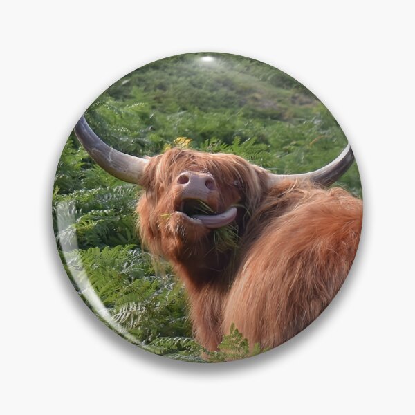 Item preview, Silly highland cow  designed and sold by Mojoprintshop.