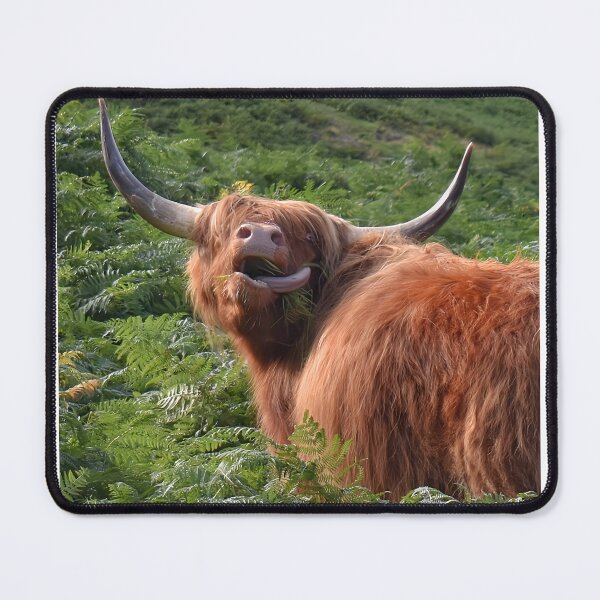 Item preview, Silly highland cow designed and sold by Mojoprintshop.