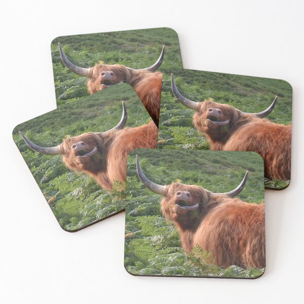 Item preview, Silly highland cow  designed and sold by Mojoprintshop.