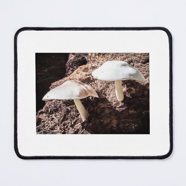 Item preview, White flower-less brollies of wonder designed and sold by Joel Bader.