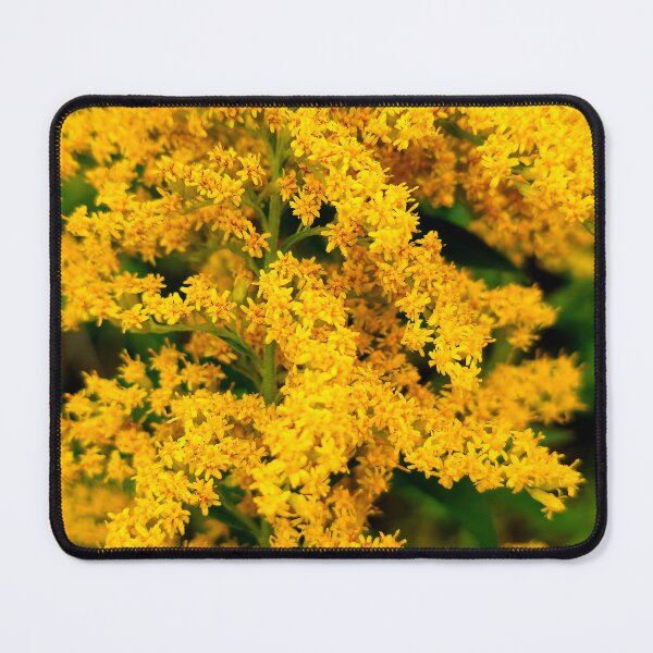 Item preview, Goldenrod designed and sold by bjtomiko.