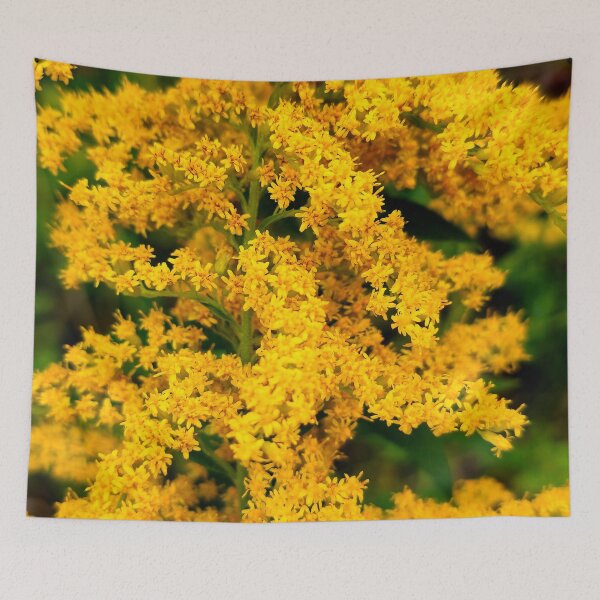 Item preview, Goldenrod designed and sold by bjtomiko.