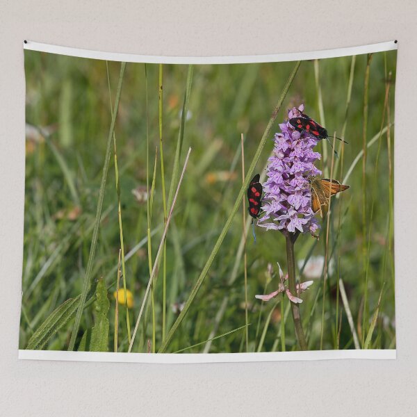 Item preview, Colourful Moths on Northern Marsh Orchid  designed and sold by Violaman.