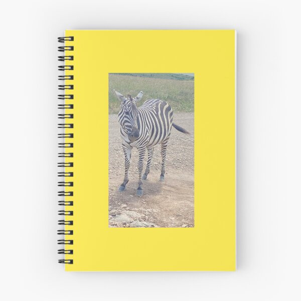 Item preview, Stairing calm Zebra designed and sold by annenambiro.