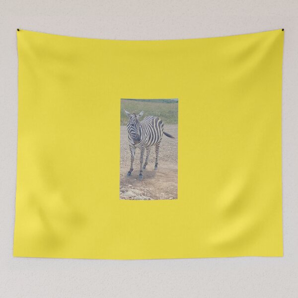 Item preview, Stairing calm Zebra designed and sold by annenambiro.