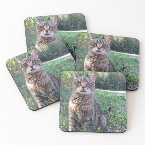 Item preview, beautiful cat designed and sold by Topmel.