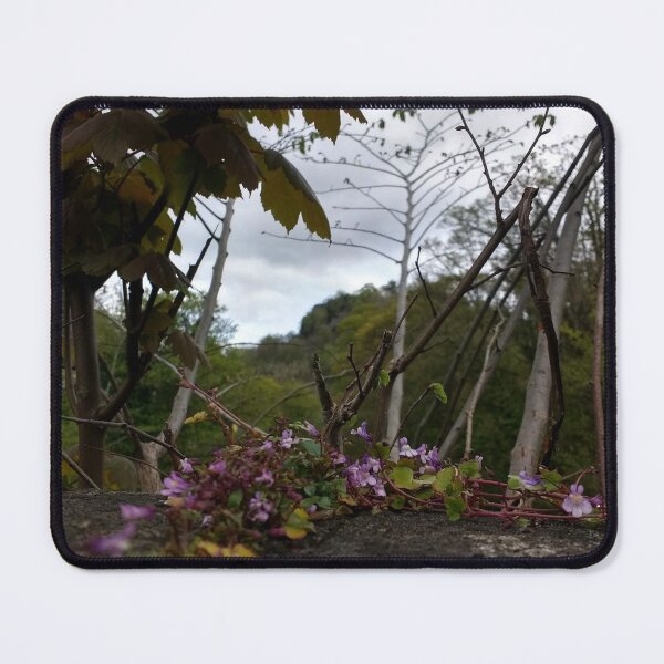 Item preview, #362 |☼| Small Flowers In A Big World (Matlock Bath) designed and sold by Naean H.F. (Nez Man).