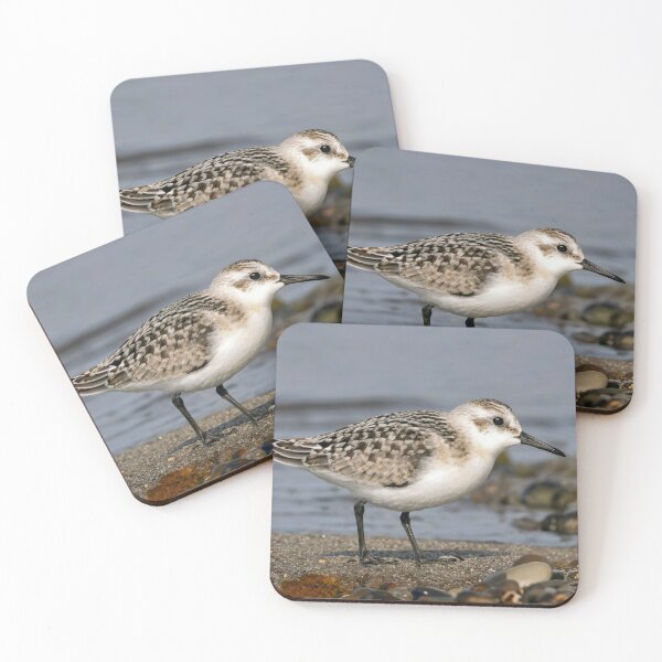 Item preview, Sanderling designed and sold by Tom McPherson Photography.