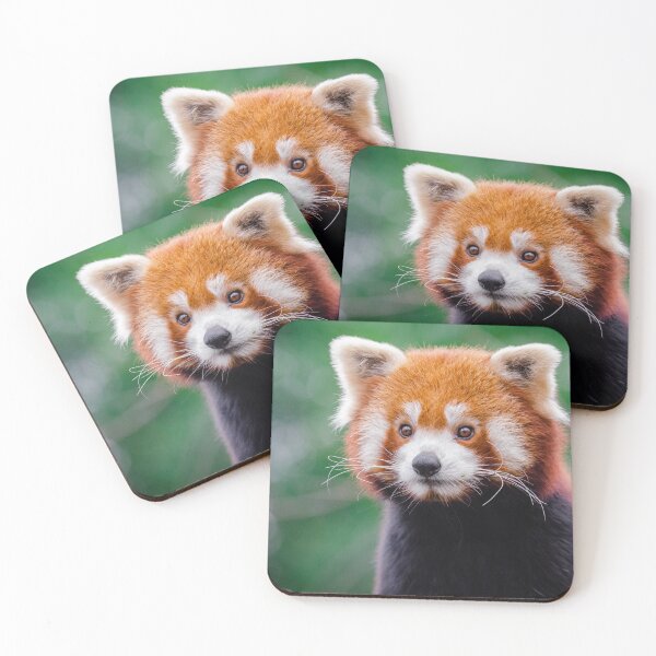 Item preview, Red Panda designed and sold by Zoozwear Apparel.