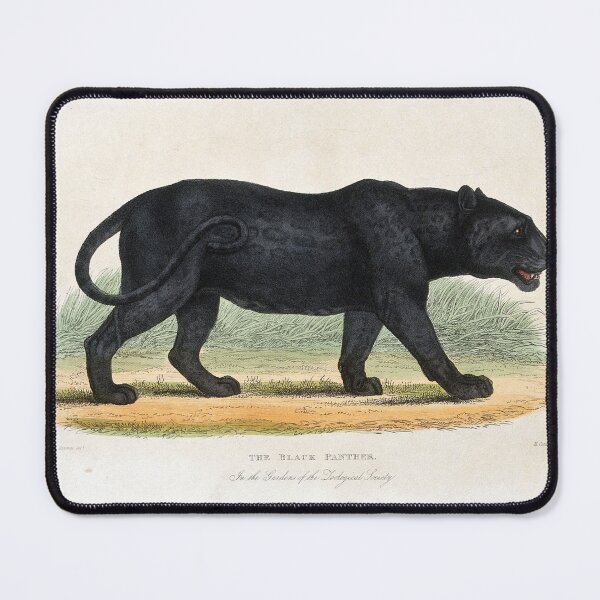 Item preview, Black Panther designed and sold by Zoozwear Apparel.