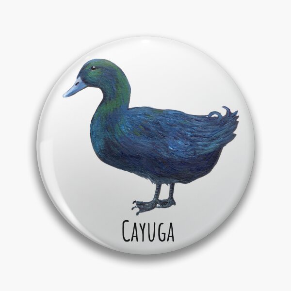 Item preview, Male Cayuga Duck  designed and sold by Roy & Tiffany.