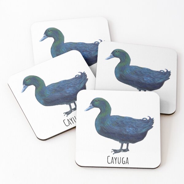 Item preview, Male Cayuga Duck  designed and sold by Roy & Tiffany.