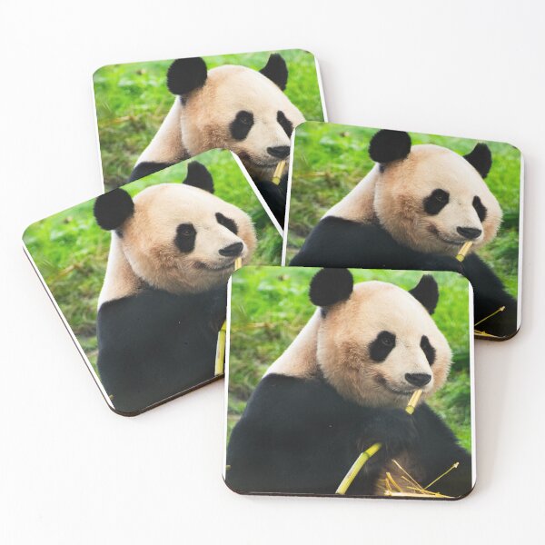 Item preview, Panda enjoying some bamboo designed and sold by LMH-Photography.