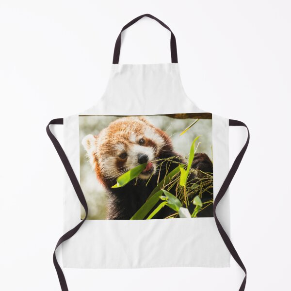 Item preview, Red Panda enjoying lunch designed and sold by LMH-Photography.