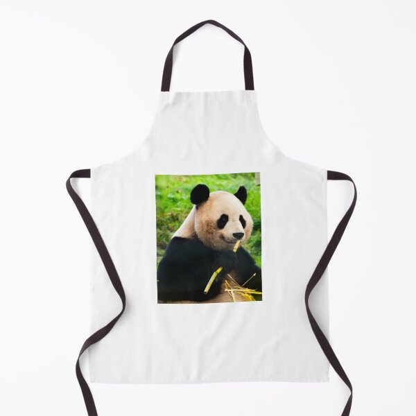 Item preview, Panda enjoying some bamboo designed and sold by LMH-Photography.