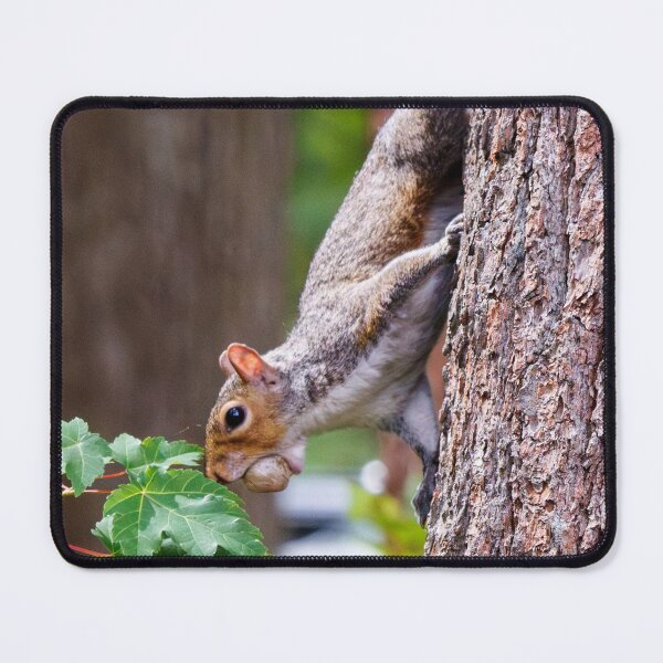 Item preview, Mouthful designed and sold by Tim Dusenberry.