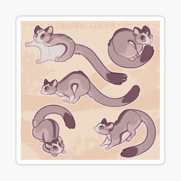 Item preview, Squirrel Gliders designed and sold by wallabytea.