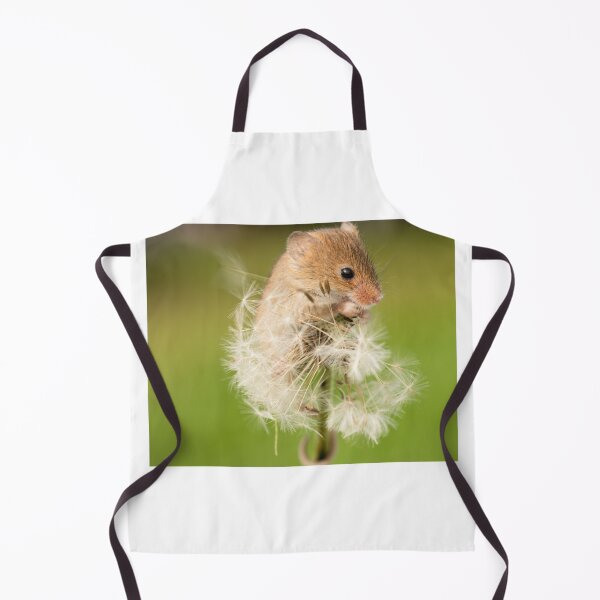 Item preview, Harvest Mouse enjoying a Dandelion designed and sold by LMH-Photography.