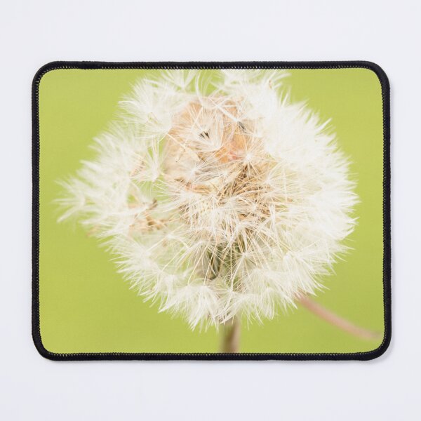 Item preview, Harvest mouse in dandelion designed and sold by LMH-Photography.