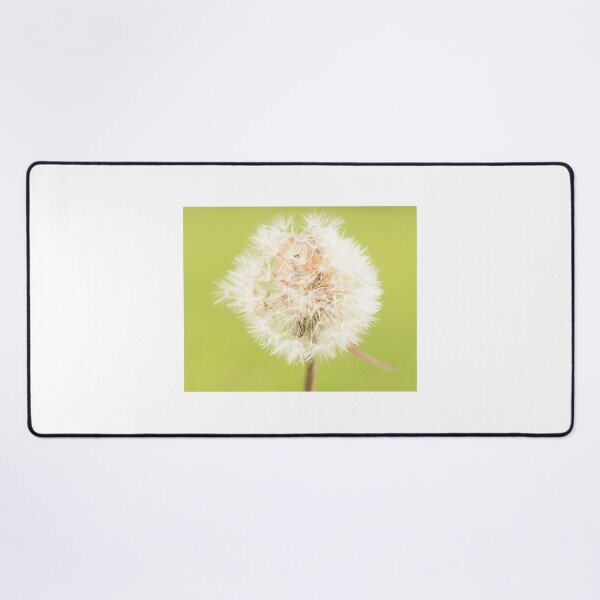 Item preview, Harvest mouse in dandelion designed and sold by LMH-Photography.