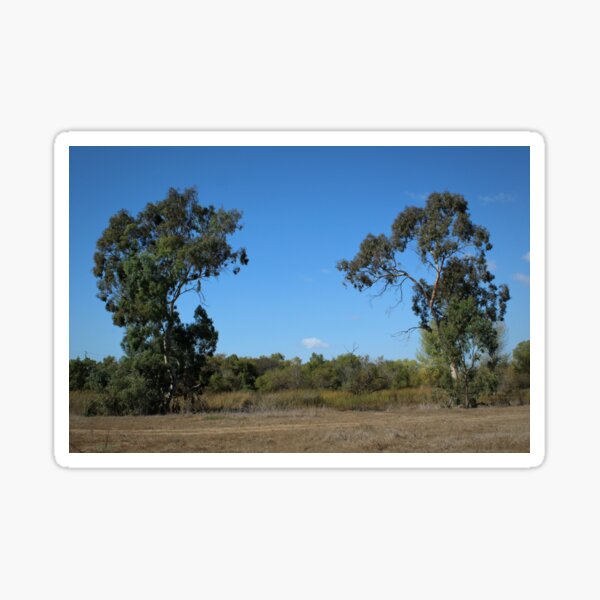 Item preview, Tree Towers, Madrona Marsh designed and sold by Scenic West - Photos by Angel.