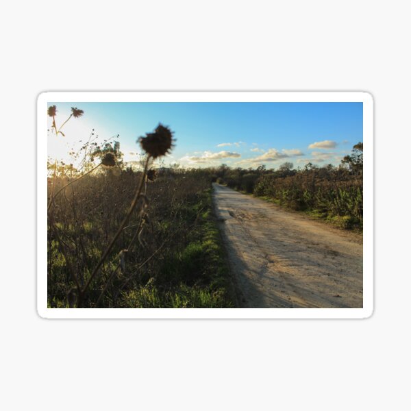 Item preview, Nature Trail, Madrona Marsh designed and sold by Scenic West - Photos by Angel.