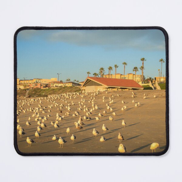 Item preview, Seagull Army, Torrance Beach designed and sold by Scenic West - Photos by Angel.